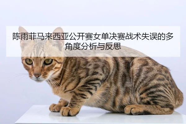 陈雨菲马来西亚公开赛女单决赛战术失误的多角度分析与反思