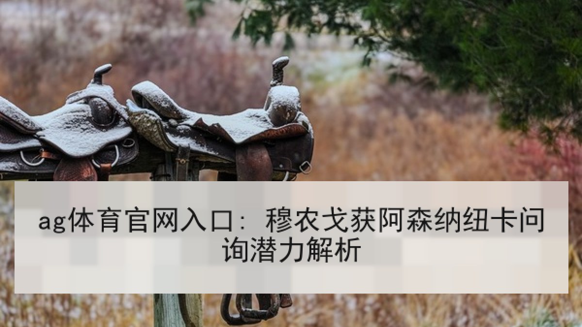 ag体育官网入口: 穆农戈获阿森纳纽卡问询潜力解析