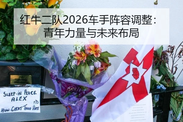 hong-niu-er-dui-che-shou-zhen-rong-tiao-zheng-qing-nian-li-liang-yu-wei-lai-bu-ju-2-650.jpg