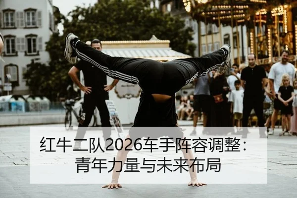 hong-niu-er-dui-che-shou-zhen-rong-tiao-zheng-qing-nian-li-liang-yu-wei-lai-bu-ju-3-361.jpg