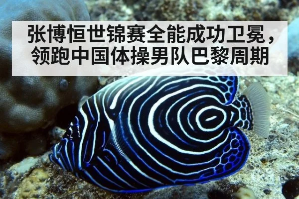 张博恒世锦赛全能成功卫冕,领跑中国体操男队巴黎周期